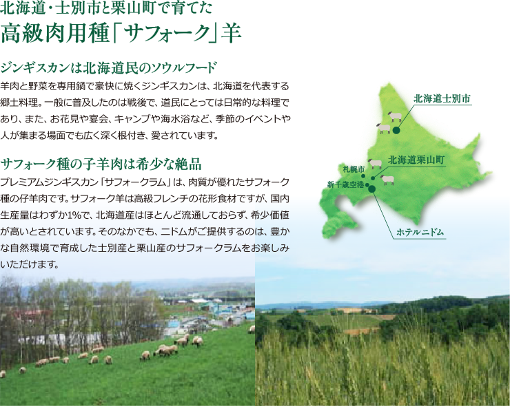 北海道・士別市が育んできた高級肉用「サフォーク」羊