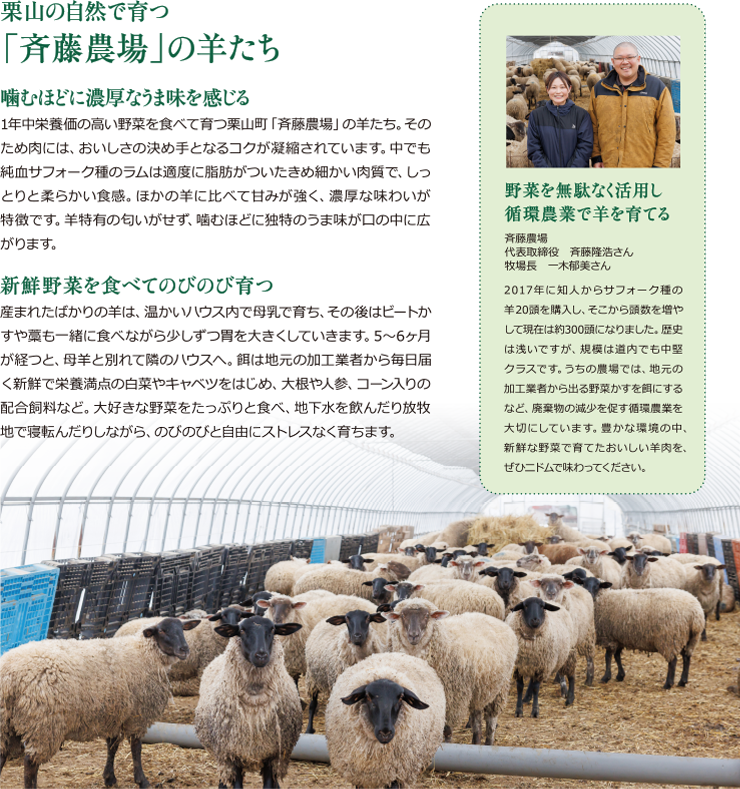 栗山の自然で育つ「斎藤農場」の羊たち